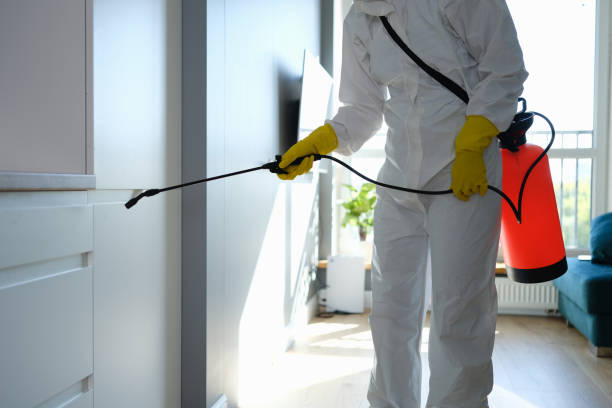 Best Crawl Space Mold Removal  in Porter, IN